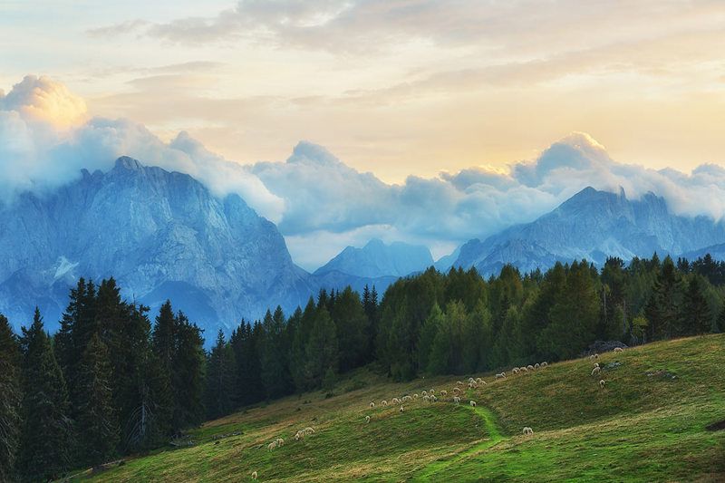 Закатphoto preview