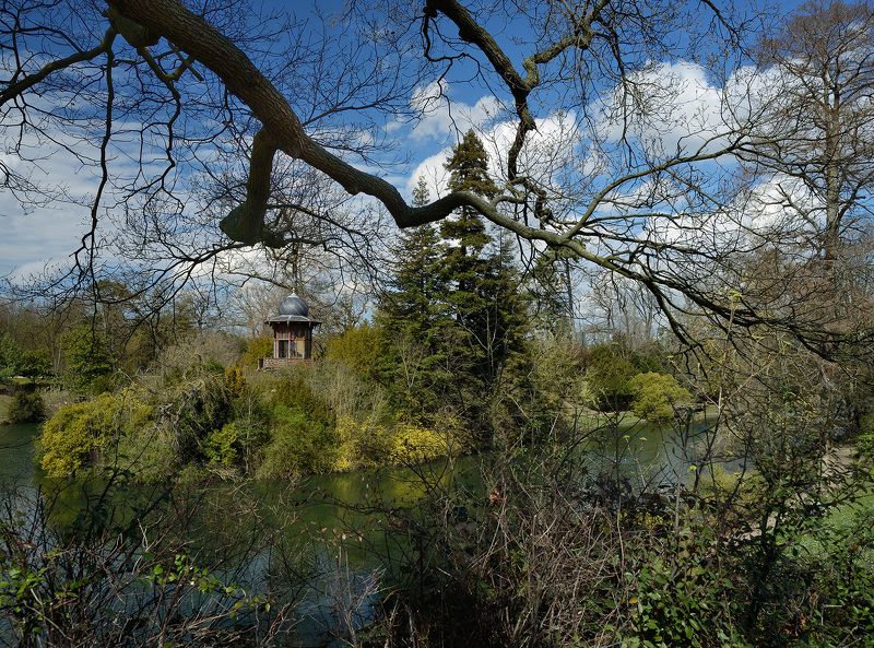 Весенние краски Булонского лесаphoto preview