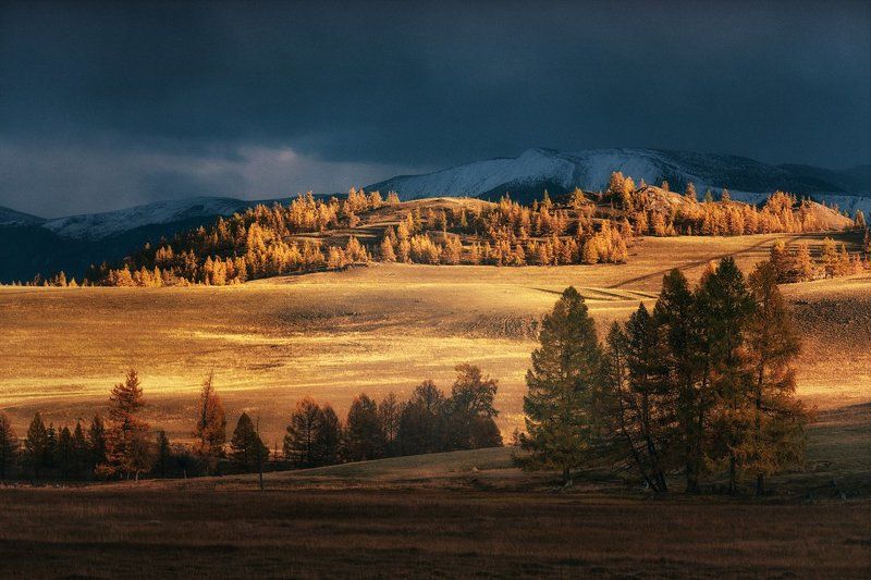 Фантазия на тему далёкой Землиphoto preview