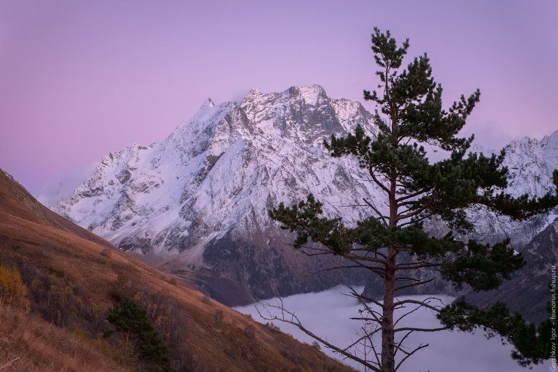 домбай, горы, кавказ,туман, осень, пейзаж,вечер,облака,вершины,россия Сиреневые сумерки в горахphoto preview