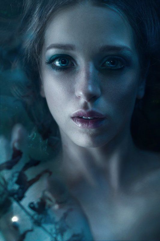 Mermaid in the icephoto preview