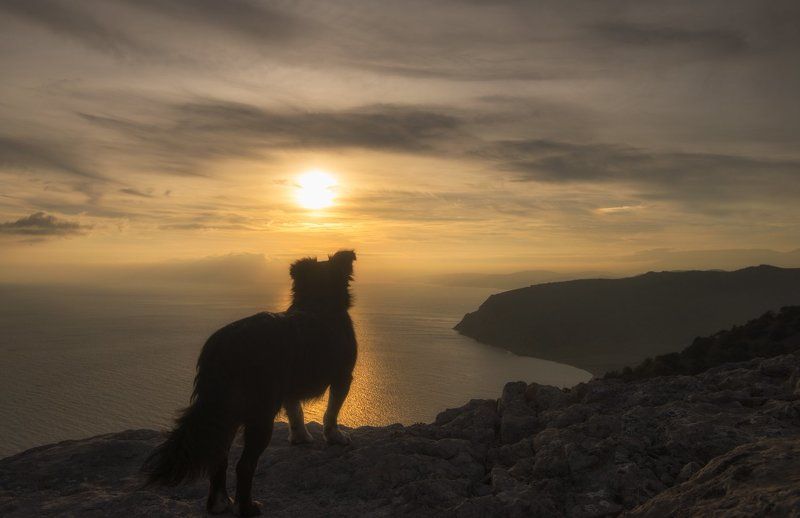 крым, море, горы, свет, закат, рассвет, природа, осень На краю землиphoto preview