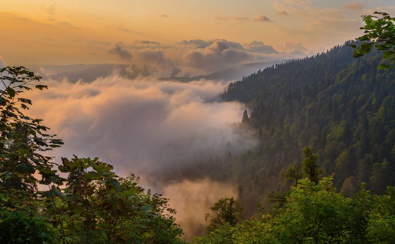 природа, абхазия, гагра, мамдзышха, горы, облака По дороге на гору Мамдзышха, Абхазияphoto preview