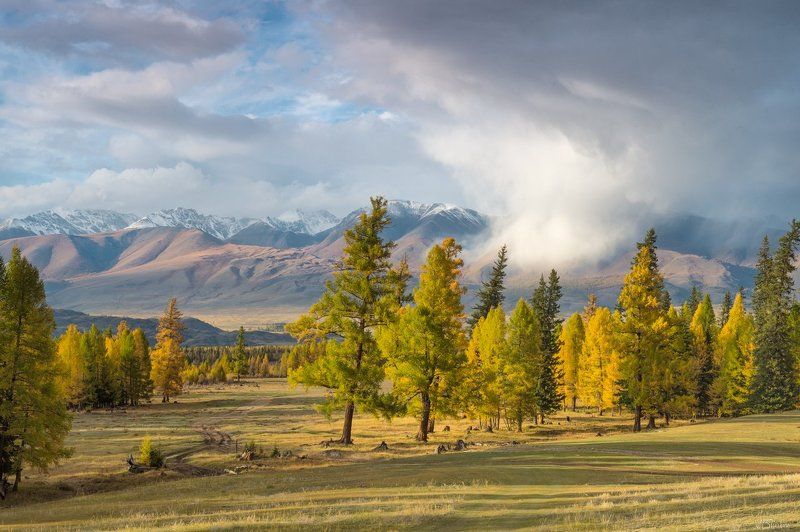 Снежное торнадоphoto preview