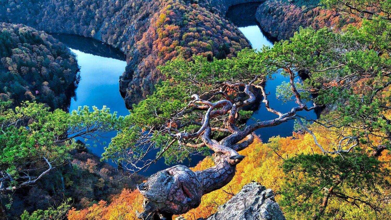 Maj. Автор: Эдуард Горобец Czech, river, blue, blue hour, Europe, famous place, landscape, natural landmark, nature, forest, autumn, stone, pine, travel, travel destination, travel and tourism, water, outdoor, view, colorful, sunset, mood, fall, green, beautiful, vast, Vltava, cal, Эдуард Горобец