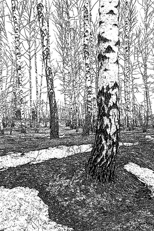 Графикаphoto preview