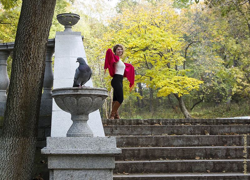 ПТИЦАphoto preview