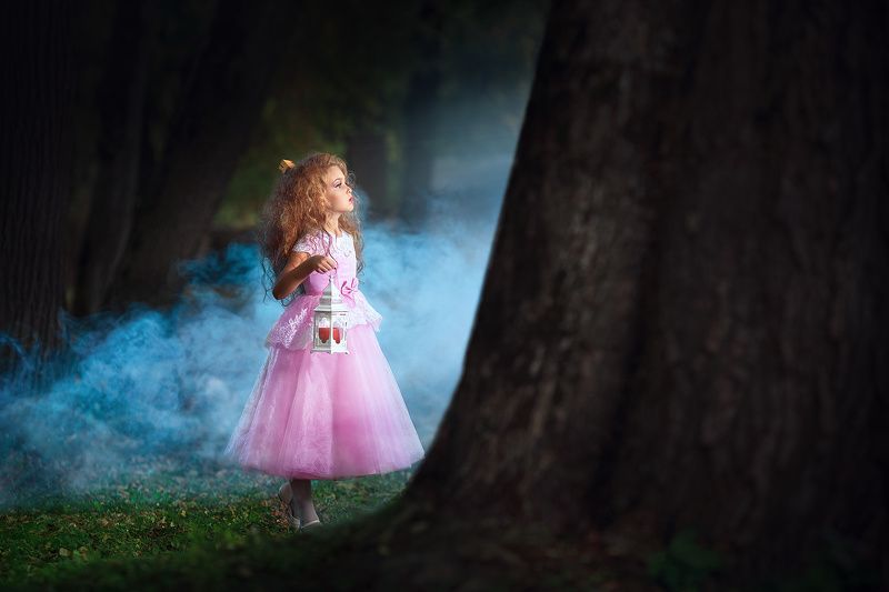 девочка, дым, туман, лес, тайна, сказка, история Dreamphoto preview