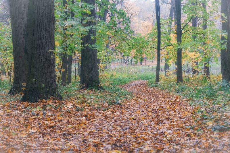 Ушедшая осеньphoto preview