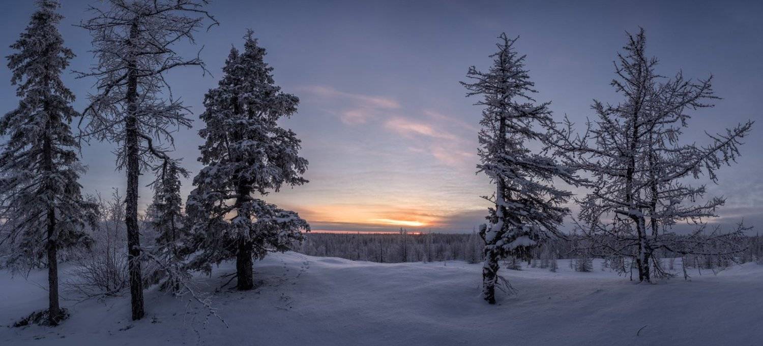 Ноябрь. Автор: Андрей Снегирёв зима, закат, сибирь, уренгой, янао, Андрей Снегирёв
