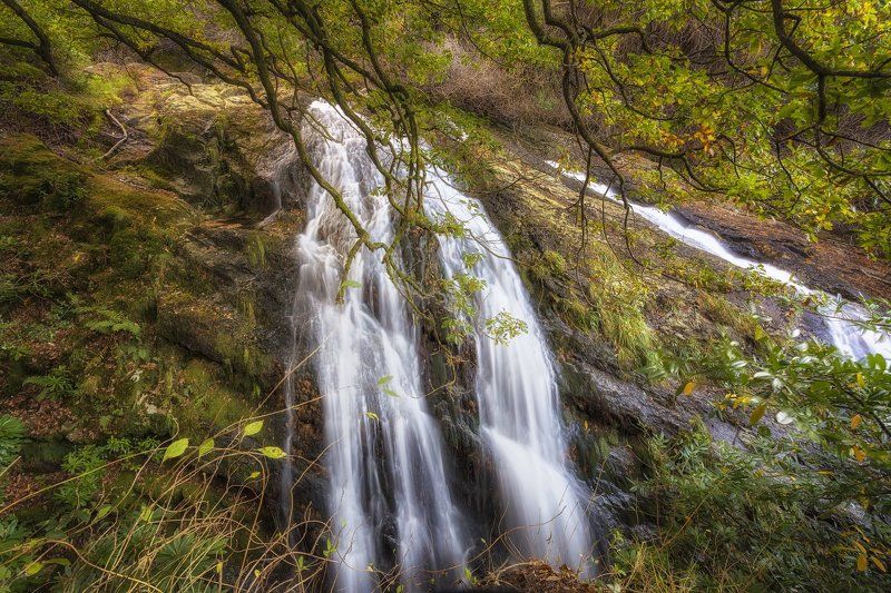 Сказочный лес!photo preview