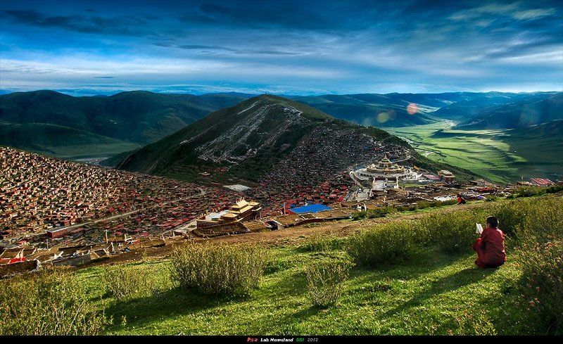 на практике  малых  лама  修行的小喇嘛photo preview