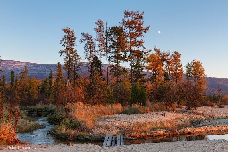Байкал, Хакусы, закат, лиственницы, тайга, хребет, горы, осень Медный вечерphoto preview