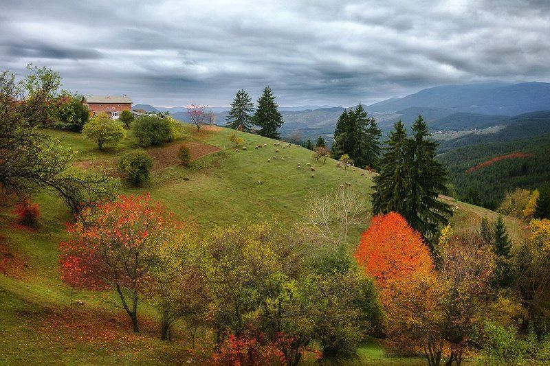 Rhodopes - Bulgariaphoto preview