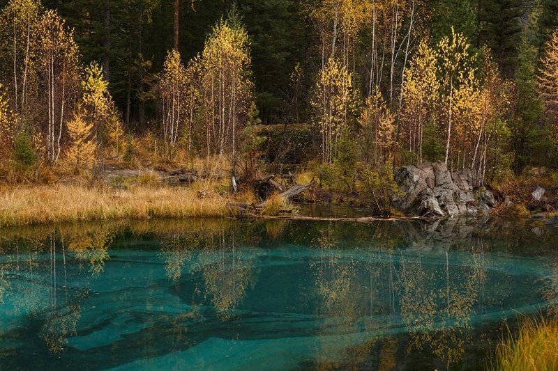 Тишинаphoto preview