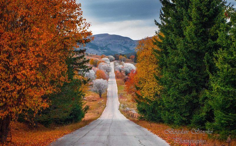 Любимите пътища водят към райските местаphoto preview