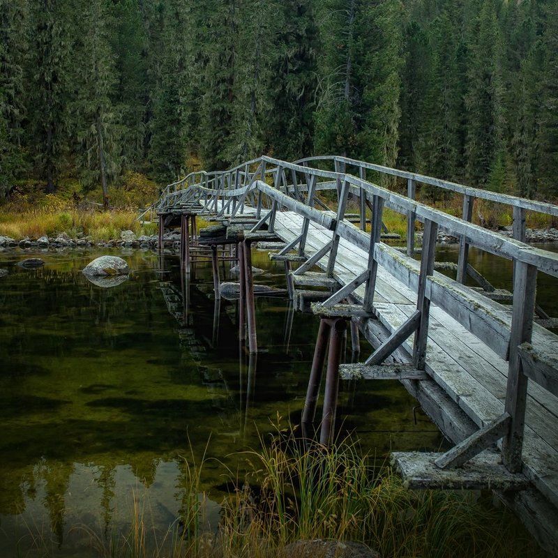 Там леший бродитphoto preview