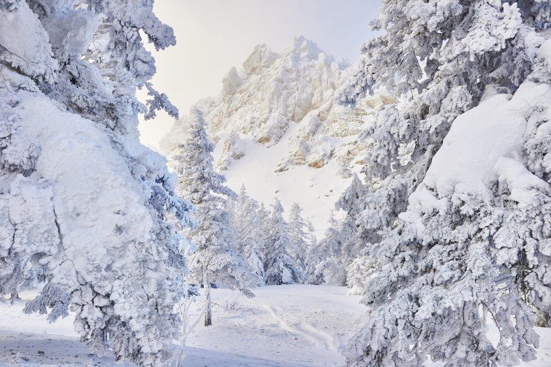 урал, таганай, откликной гребень photo preview