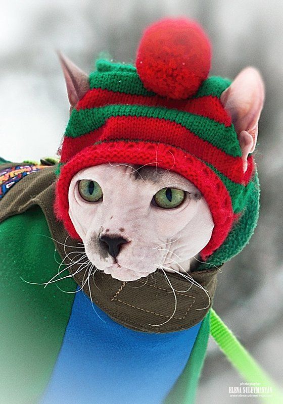 Это Россия, детка...))photo preview