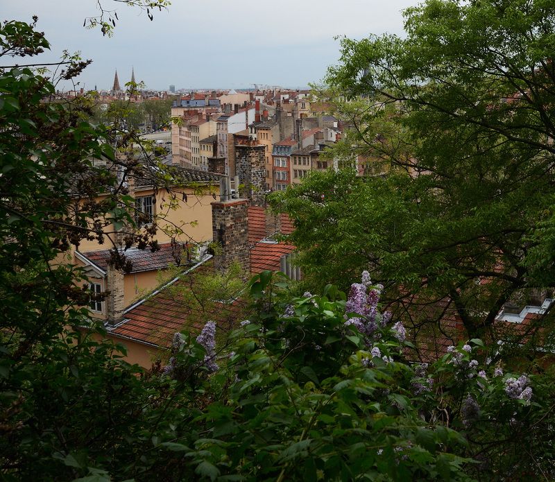 lyon Крыши Лионаphoto preview