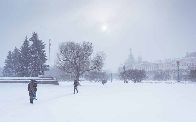Mars field photo preview
