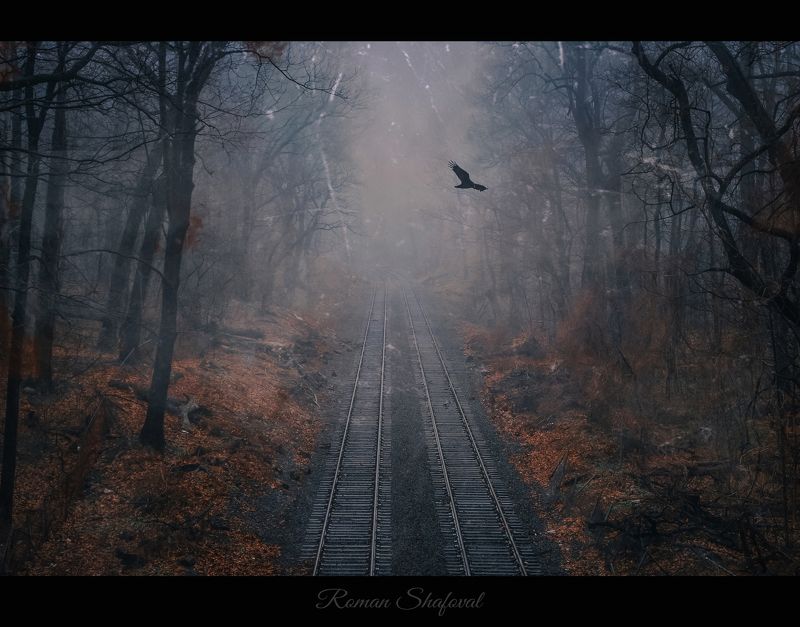 роман шафовал, nyc загадка старого парка....photo preview