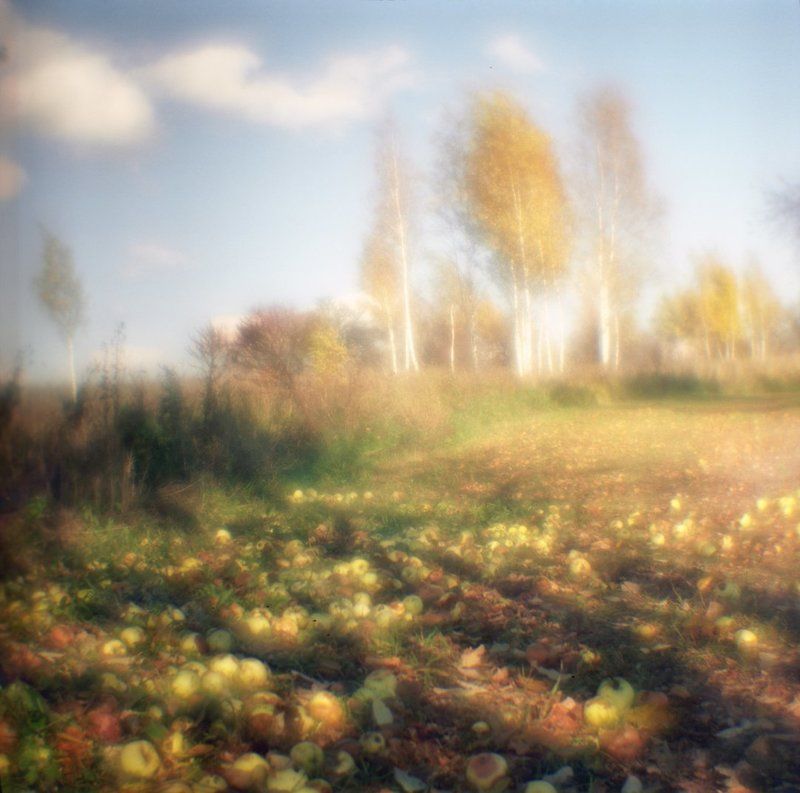 6х6, art photo, artwork, autumn, beautiful, film 120, fine art, forest, medium format, monolens, no photoshop, аллея, аналоговая, живописная, золотая осень, мистическая, монокль, октябрь, парк, пейзаж, пленка, романтика, средний формат, эксперименты, ябло Осень через монокль на среднеформатную камеру...photo preview