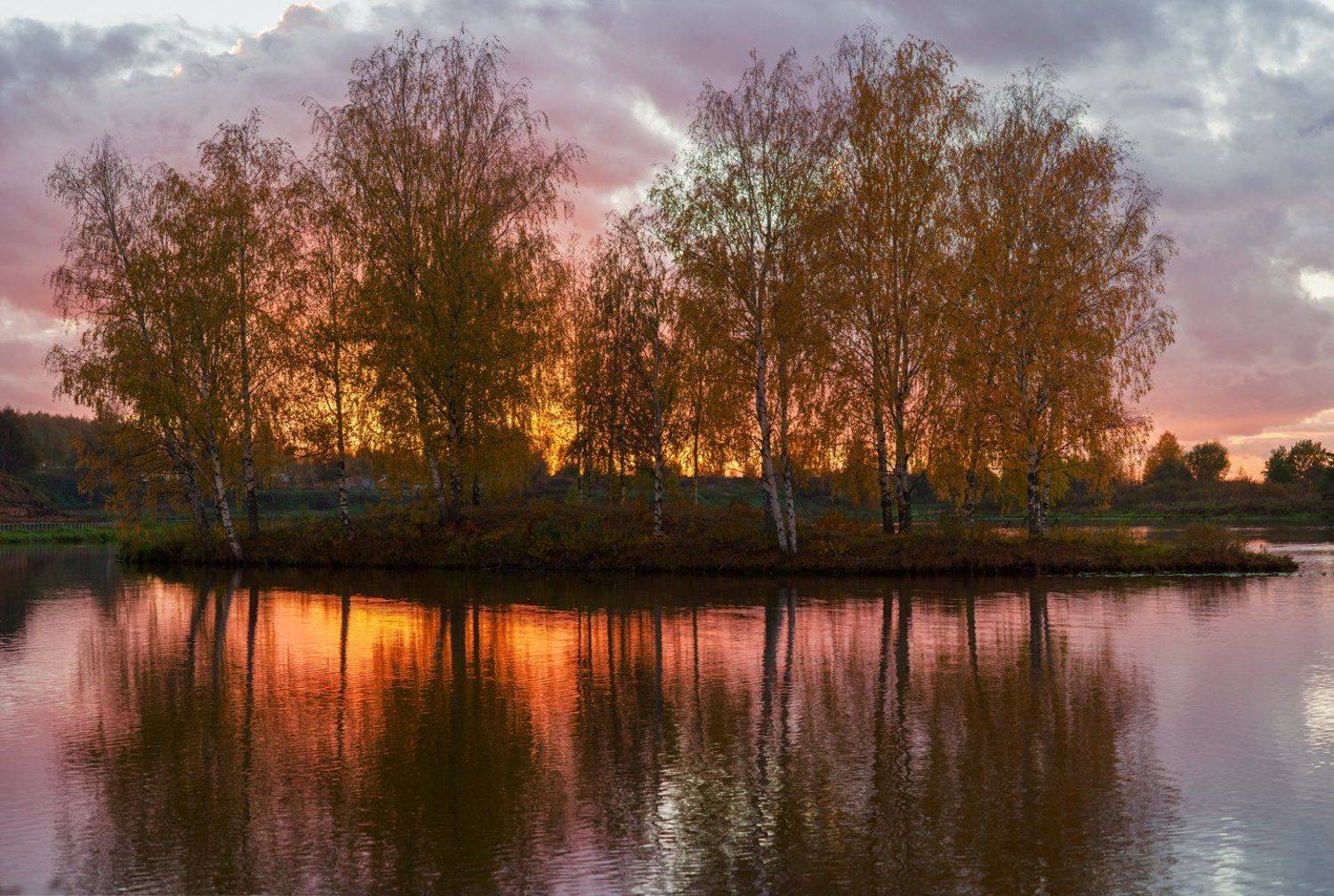 , Евгений Цветков