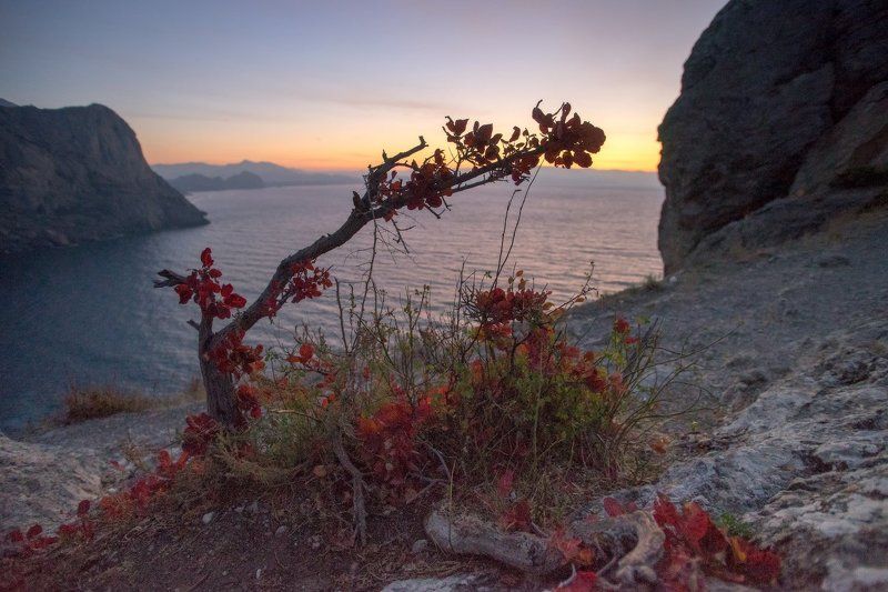 крым, море, горы, свет, закат, рассвет, природа, осень ***photo preview