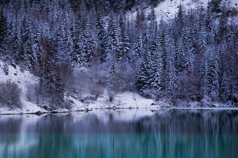 зима, озеро иссык, лес, снег, озеро Зимняя сказкаphoto preview