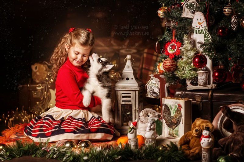 новогодняя фотосессия Перед рождествомphoto preview