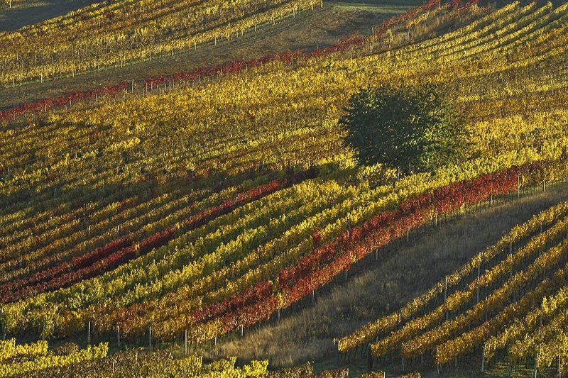 Моравия.....photo preview