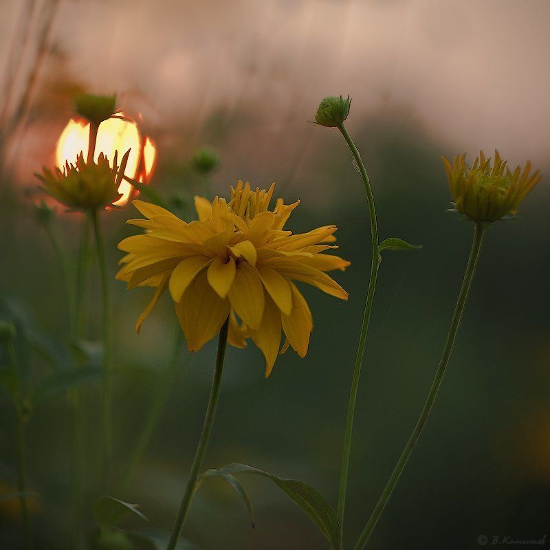 Персиком нежным закат догорает... фото превью