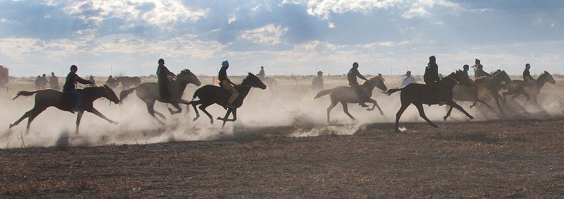 Скачкиphoto preview