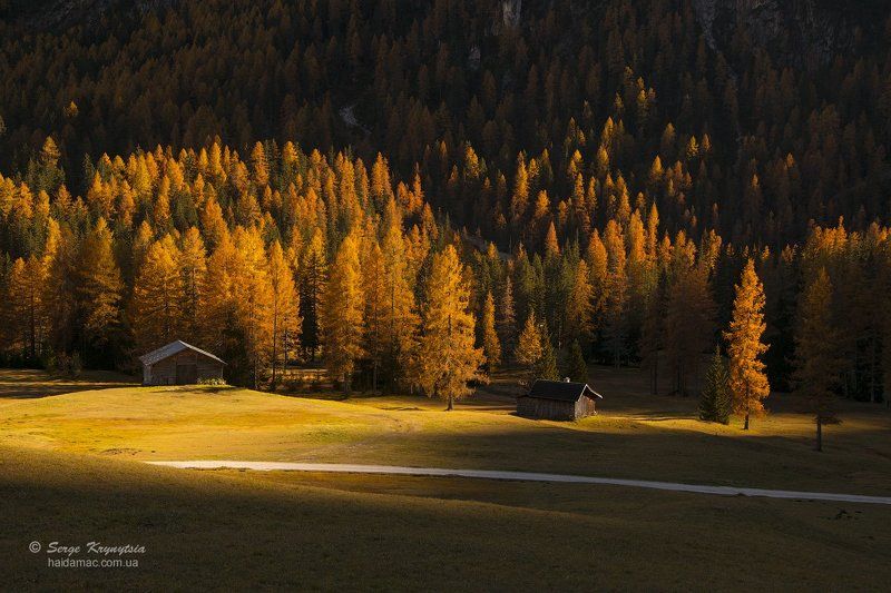 autumn, dolomites, fall, yellow, sunlit, light, italy, mountains, valley Autumn lightphoto preview