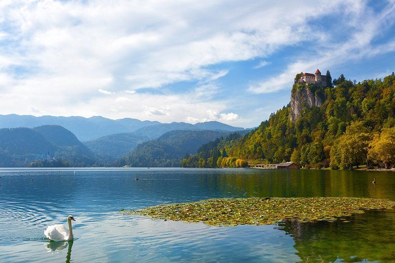 Солнечный день на Бледеphoto preview