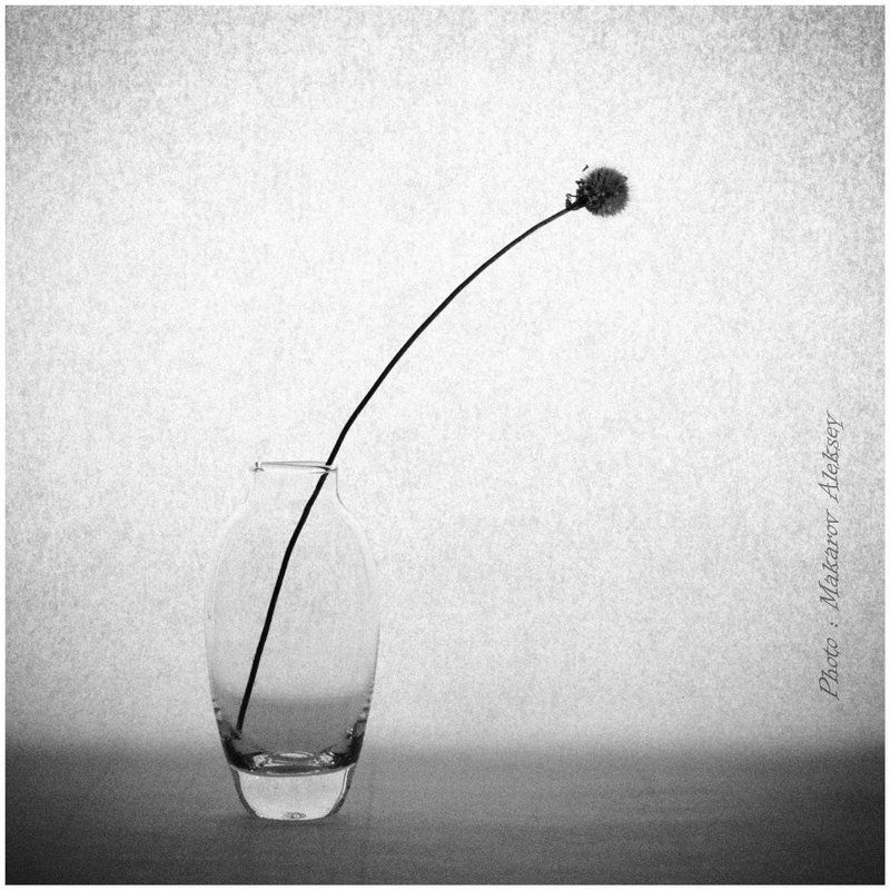 Про одиночество.photo preview