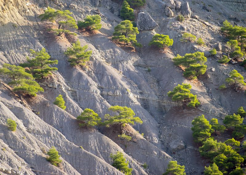 крым, море, горы, свет, закат, рассвет, природа, осень ***photo preview