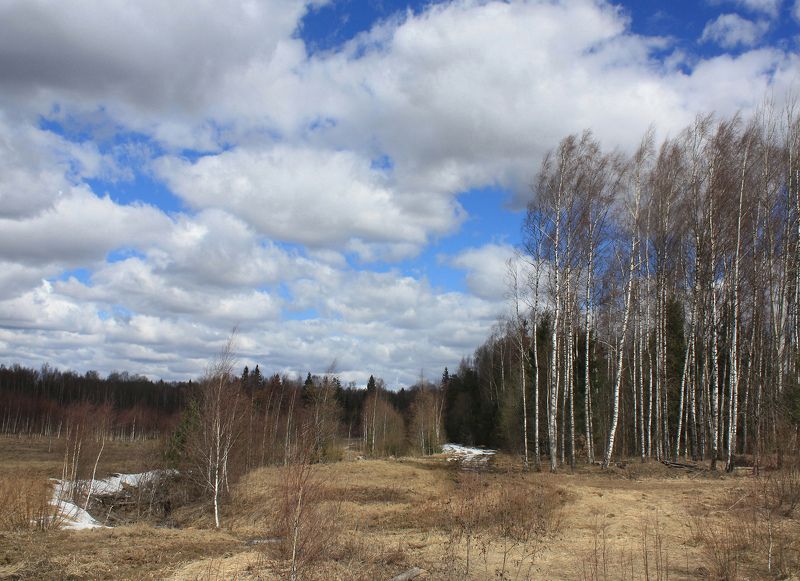 весна Русский пейзаж )photo preview