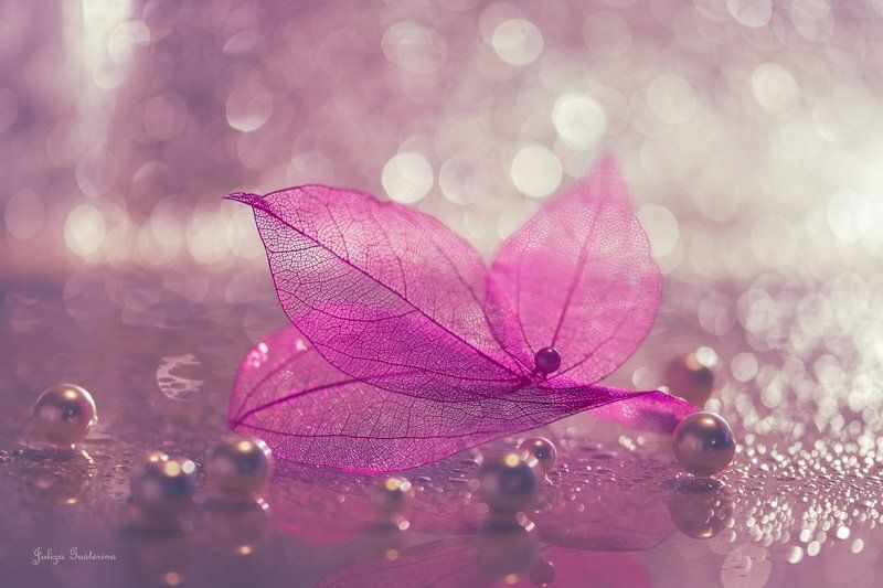 разноцветная осеньphoto preview