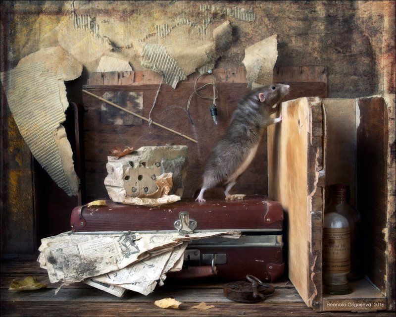 Заготовки, Крыса дамбо, Крысиные истории, Осенние листья, Осень, Чемодан, Чердак Крысиные истории. Про осень и не толькоphoto preview