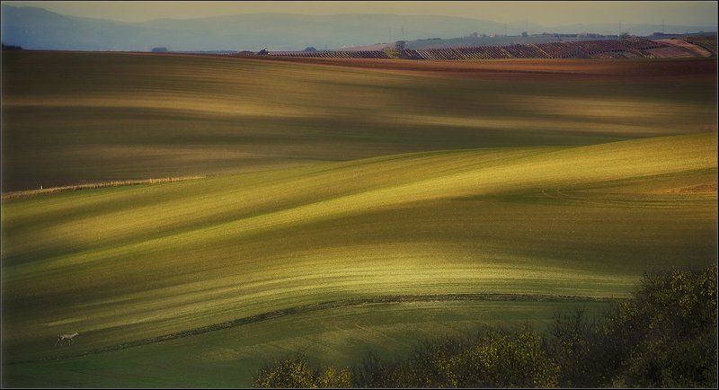 50 оттенков...........photo preview