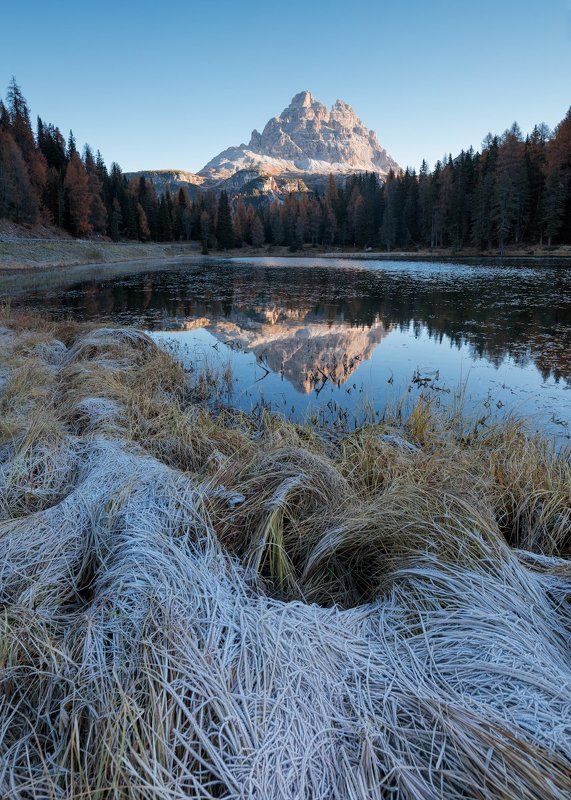 Нити утреннего холода \\ Threads cold morningphoto preview