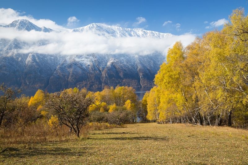 Алтын-Ту, Алтын-Туу, Телезкое озеро, яблони, золотая осень Осенние краски Алтын-Ту фото превью