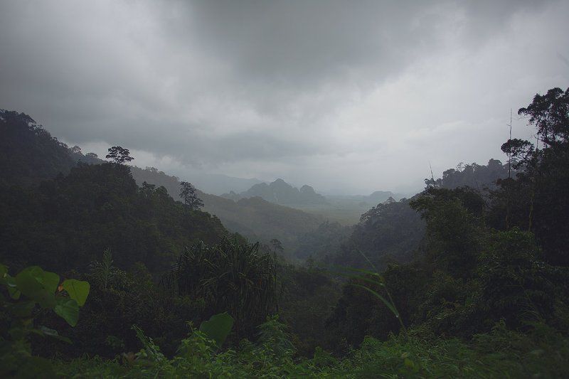Nature, Thailand In My Heartphoto preview