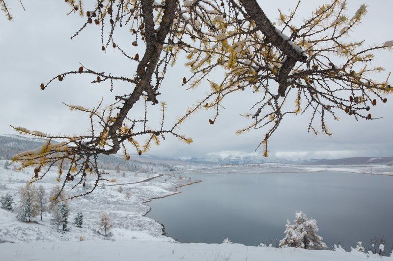 осенняя капитуляцияphoto preview