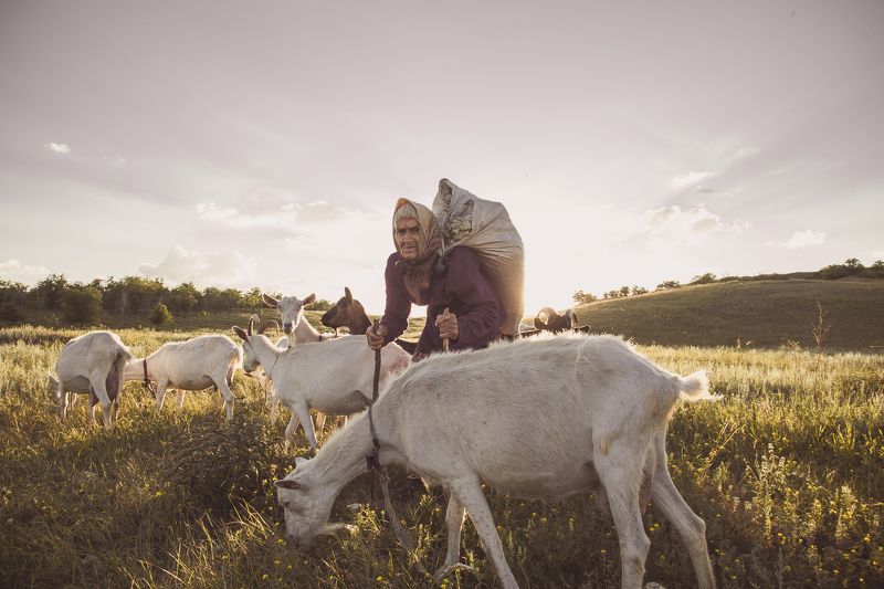 бабушка,природа,небо,трава,портрет,жанр, Воспоминание детстваphoto preview