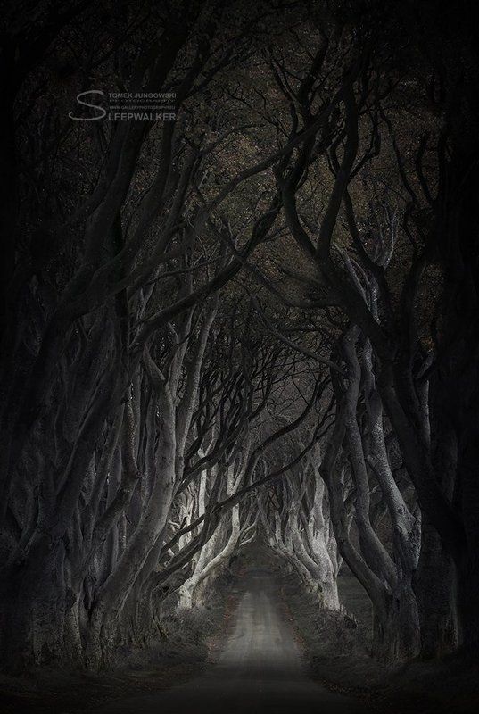 landscape, Lasciate ogni speranza, voi ch\'entratephoto preview