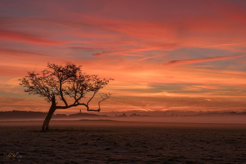 ирландия, рассвет, фототур, дублин Рассвет в Феникс-паркеphoto preview