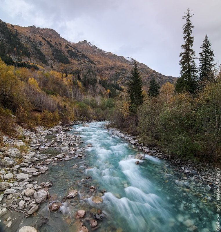 бирюзовый, вода, гоначхир, горная река, кавказ, камни, осень, пейзаж, пороги, природа, река, скалы Бирюзовая вода Гоначхираphoto preview